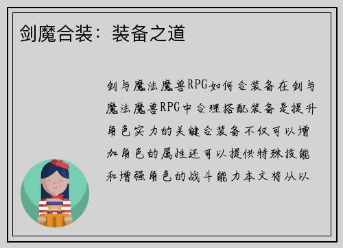 剑魔合装：装备之道
